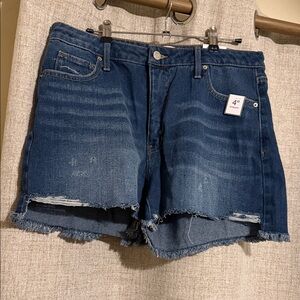 Time and Tru Dark Blue Jean Shorts size 12